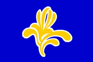 Bandera de la region de Bruselas capital