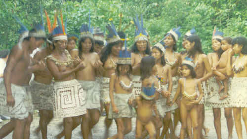 Danseurs Boras en Anazonie dans la zone d'Iquitos